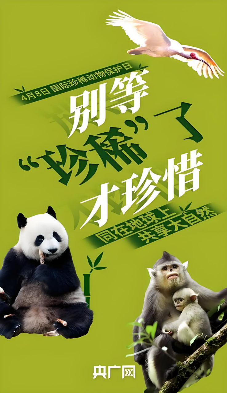 小舞 到爽 流斗罗大陆·洁面型版·专业可靠
